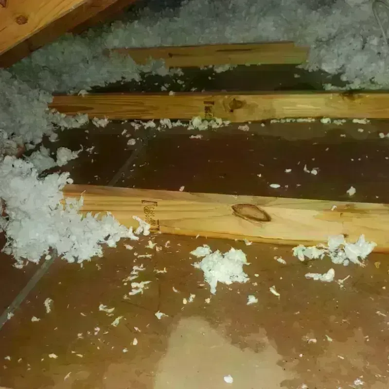 Attic Water Damage in Burt, MI