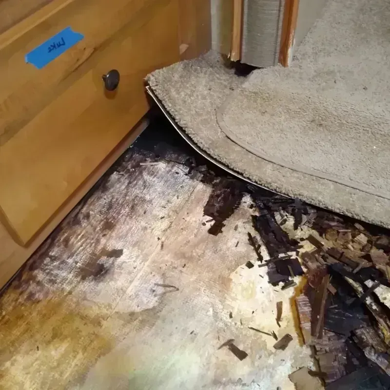 Wood Floor Water Damage in Burt, MI